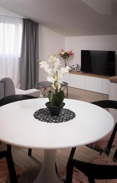 פודסטראנה Villa J&J Apartments Residence With Swimming Pool מראה חיצוני תמונה